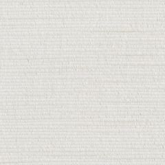 Perennials Swanky Sea Salt 994-124 Uncorked Collection Upholstery Fabric