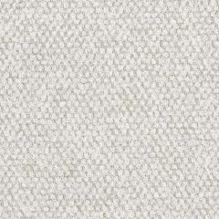 Perennials on the Lamb White Sands 983-270 Here, There and Everywhere Collection Upholstery Fabric