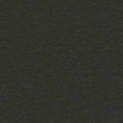 Kravet Sunbrella Black 34221-8 Upholstery Fabric