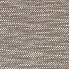 Perennials Nit Witty Sable 930-244 Camp Wannagetaway Collection Upholstery Fabric