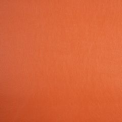 Aura Retreat Pumpkin SCL-030 Upholstery Fabric