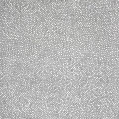 Silver State Sunbrella Jedi Nickel Roman Holidays Collection Upholstery Fabric