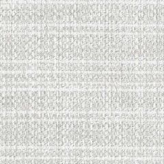 Perennials Homespun White Sands 926-270 No Hard Feelings Collection Upholstery Fabric