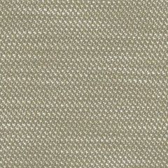 Perennials Nit Witty Linen 930-27 Camp Wannagetaway Collection Upholstery Fabric