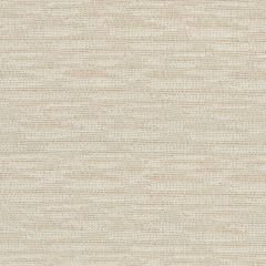 Lee Jofa Modern Playa Beach GWF-3744-116 Terra Firma II Indoor Outdoor Collection by Kelly Wearstler Upholstery Fabric