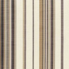 Perennials Beachcomber Stripe Evening Shade 450-193 Networks Collection Upholstery Fabric