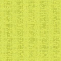 Serge Ferrari Soltis Perform 92-2157 Aniseed 69-inch Shade / Mesh Fabric