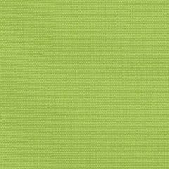 Perennials Canvas Weave Lime Punch 600-14 More Amore Collection Upholstery Fabric