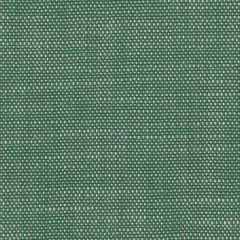 Perennials Rough 'n Rowdy Grass 955-250 Beyond the Bend Collection Upholstery Fabric