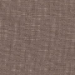 Perennials Slubby Sable 655-244 No Hard Feelings Collection Upholstery Fabric