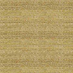 Kravet Sunbrella 34274-416 Guaranteed in Stock Upholstery Fabric