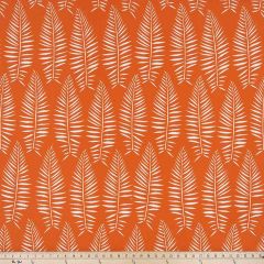 Premier Prints Breeze Marmalade / Polyester Boardwalk Outdoor Collection Upholstery Fabric