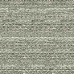 Kravet Sunbrella Helm Pebble 34869-11 Oceania Indoor Outdoor Collection Upholstery Fabric