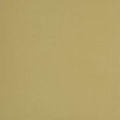 Mayer Caressa Butterscotch Ca-002 Upholstery Fabric