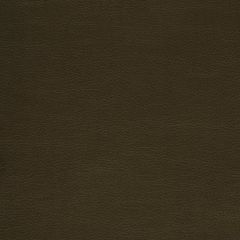 Mayer Caressa Chocolate Ca-010 Upholstery Fabric