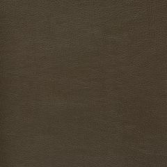 Mayer Caressa Java Ca-040 Upholstery Fabric