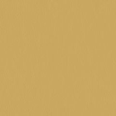 Mayer Caressa Butterscotch Ca-042 Upholstery Fabric