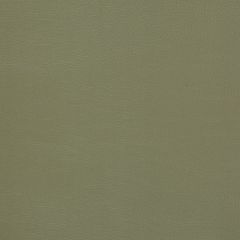 Mayer Caressa Laurel Ca-053 Upholstery Fabric