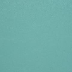 Mayer Caressa Aquamarine Ca-084 Upholstery Fabric