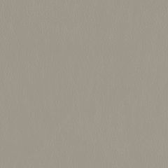 Mayer Caressa Dove Ca-096 Upholstery Fabric