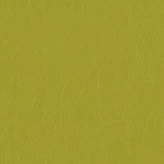 Mayer Caressa Lime Ca-103 Upholstery Fabric