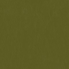 Mayer Caressa Jade Ca-113 Upholstery Fabric