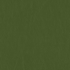 Mayer Caressa Parsley Ca-123 Upholstery Fabric