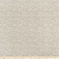 Premier Prints Palette Acorn Polyester Garden Retreat Outdoor Collection Indoor-Outdoor Upholstery Fabric