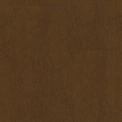 ABBEYSHEA Guardian 804 Amber Automotive Seating and Upholstery Fabric