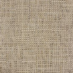 Silver State Clara Bamboo No Consequences Collection Upholstery Fabric