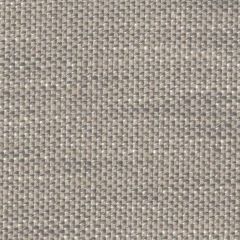 Perennials Whippersnapper Gravel Path 925-61 Rodeo Drive Collection Upholstery Fabric