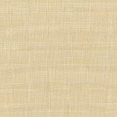 Perennials in the Rough Vellum 957-170 Rose Tarlow Melrose House Collection Upholstery Fabric