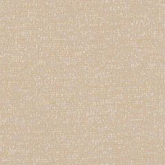 Sunbrella Tundra Straw TUN J214 140 European Collection Upholstery Fabric