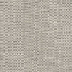 Perennials Raffia Gravel Path 210-61 Clodagh Collection Upholstery Fabric