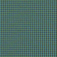 Sunbrella Checks Oliver Green CHE F059 140 European Collection Upholstery Fabric