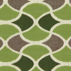 Robert Allen Sunbrella Carrington Lime 228285 DwellStudio Modern Bungalow Collection Upholstery Fabric