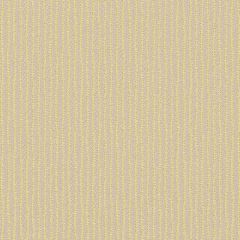 Sunbrella Trail Sulfur TRL J300 140 Marine Decorative Collection Upholstery Fabric