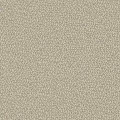 Sunbrella Reef Fossil REE J312 140 Marine Decorative Collection Upholstery Fabric