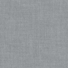 Perennials Slubby Platinum 655-207 No Hard Feelings Collection Upholstery Fabric