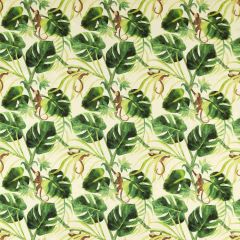 Clarke and Clarke Monkey Biz Outdoor Nat F1671-01 Alfresco Collection Upholstery Fabric