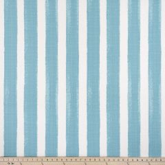 Premier Prints Nico Aqua / Luxe Polyester Serene Escape Collection Upholstery Fabric