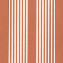 Perennials I Love Stripes Mandarin 840-167 Camp Wannagetaway Collection Upholstery Fabric