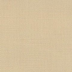 Perennials Ishi Beach 950-159 Galbraith and Paul Collection Upholstery Fabric