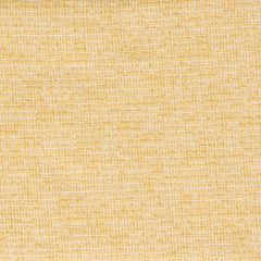 Bella Dura Folksy Lemon Home Collection Upholstery Fabric