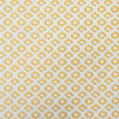 Gaston Y Daniela Yak Oro 5695-003 Marco Polo Indoor / Outdoor Collection Upholstery Fabric