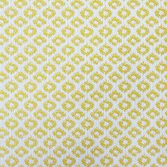 Gaston Y Daniela Yak Lima 5695-004 Marco Polo Indoor / Outdoor Collection Upholstery Fabric