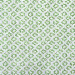 Gaston Y Daniela Yak Verde 5695-005 Marco Polo Indoor / Outdoor Collection Upholstery Fabric