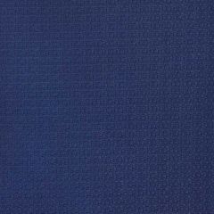 Gaston Y Daniela Lhasa Navy 5698-001 Marco Polo Indoor / Outdoor Collection Upholstery Fabric