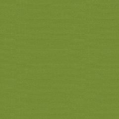 Kravet Sunbrella Canvas Ginkgo Gr-54011-0000-0 Soleil Collection Upholstery Fabric