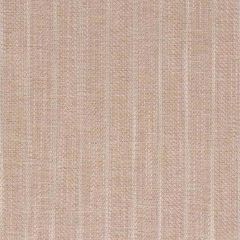 Bella Dura Harborview Birch Home Collection Upholstery Fabric